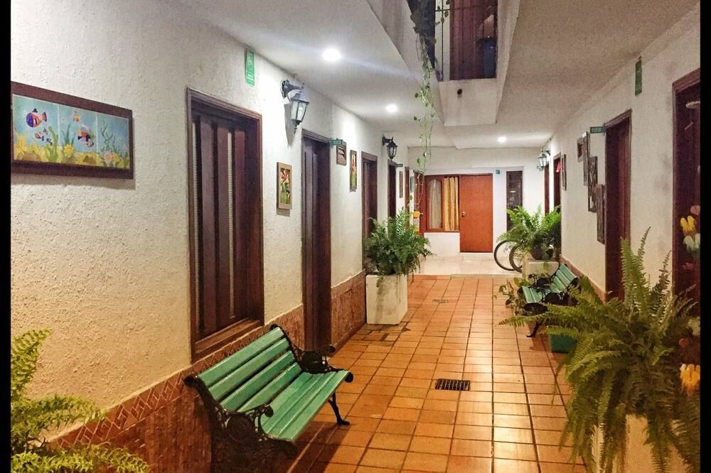 Bacano Hostel - סנטה מרטה - מסדרון