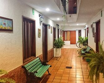 Bacano Hostel - סנטה מרטה - מסדרון