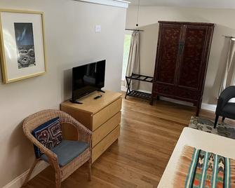 Sunny Coach House in Historic Oak Park - Oak Park - Living room