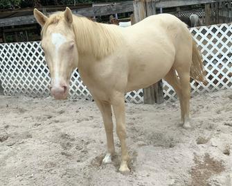 Tiny homes Miami - North Miami