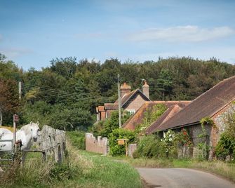 Old Selden Farm B&B - Angmering - Outdoor view