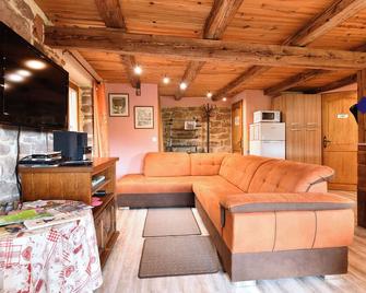 1840 house in the heart of nature, a haven of peace ideal for groups or families - Sainte-Croix-aux-Mines - Living room