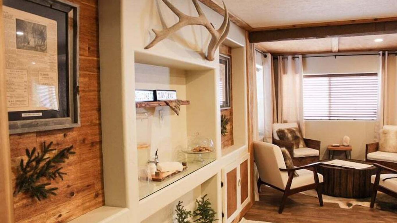 ザ エバーグリーン