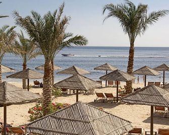Miramar Al Aqah Beach Resort - Dibba Al-Fujairah - Pláž