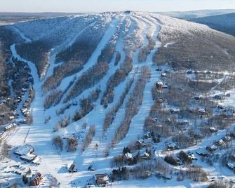 Cozy 2 bed Cabin - The Best location for Davis, Thomas, and Canaan! Ski here! - Davis - Edificio
