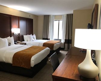 Comfort Suites Elkhart South - Elkhart - Habitación