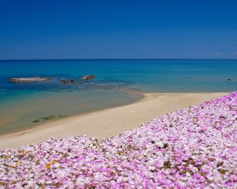 Hotel Residence Ampurias - Castelsardo - Ranta