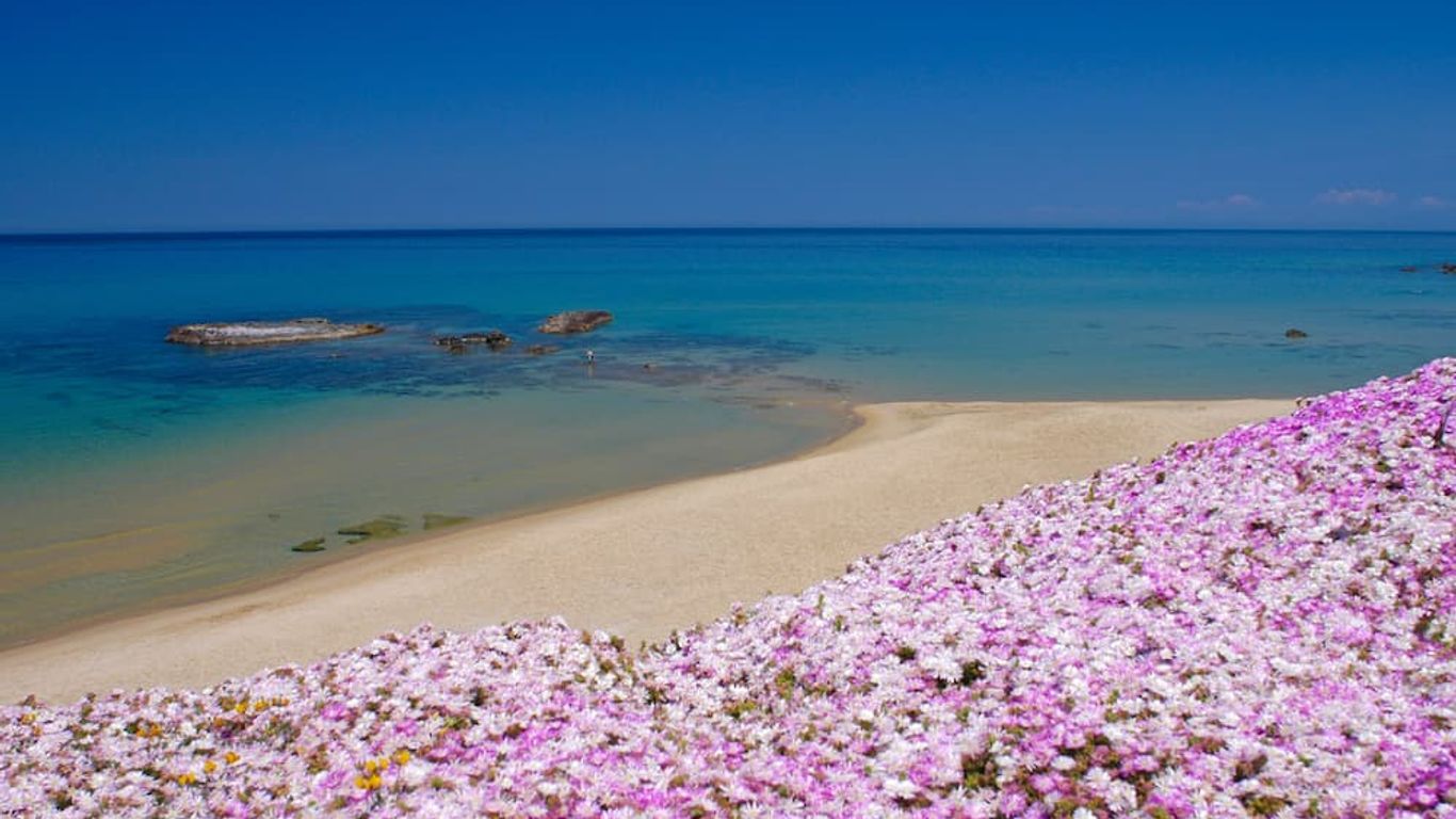 Hotel Residence Ampurias