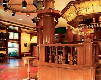 Tivoli Garden Resort - Yeni Delhi - Bar