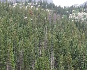 Lovely 3-bedroom house in Dickinson with WiFi, AC - Dickinson - Outdoors view