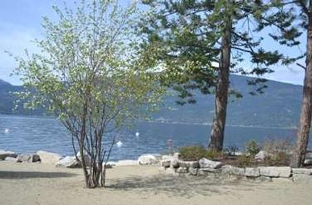 Outback Lakeside Vacation Homes - Vernon - Παραλία