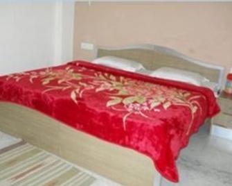 Hotel Basil Inn - Agra - Camera da letto
