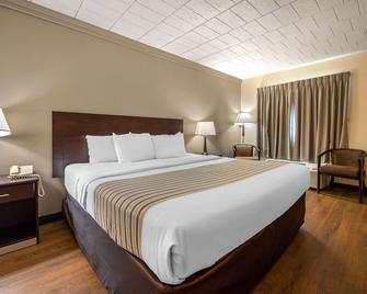Econo Lodge Inn & Suites Shamokin Dam - Selinsgrove - Shamokin Dam - Bedroom