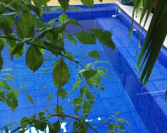 Hotel Las Salinas - Zihuatanejo - Pool