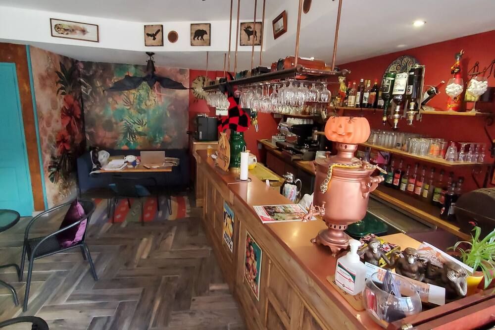 Le Richelieu - Le Boulou - Bar