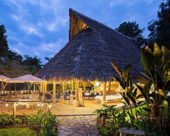 Bosque del Cabo Rain Forest Lodge - Puerto Jiménez - Patio