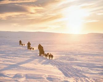 Holmen Husky Lodge - Alta