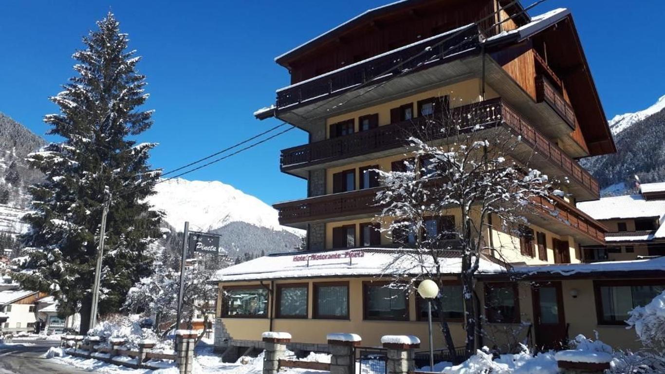 Hotel Pineta