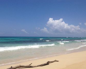 Back Packer’s Paradise - Port Antonio - Bãi biển