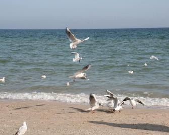 Landhotel Ostseetraum & Fewo - Rostock - Bãi biển