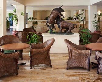 Hotel Viva Villahermosa - Villahermosa - Reception