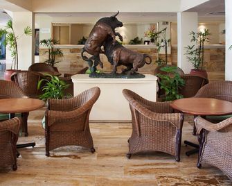 Hotel Viva Villahermosa - ויארמוסה - לובי