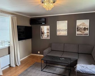 Sentralt i Fredrikstad, gratis parkering og varmepumpe med AC - Fredrikstad - Living room