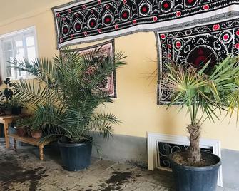 As-Salam Samarkand Hostel - Samarkanda - Lobby
