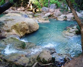 Large Studio + Private Swimming Pool 50m2 1500m2 Garden Proximity Cascade - Sillans-la-Cascade - Pool