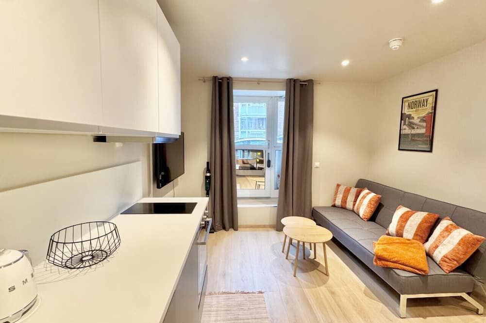 Smart & Central - New Renovated - אוסלו - סלון