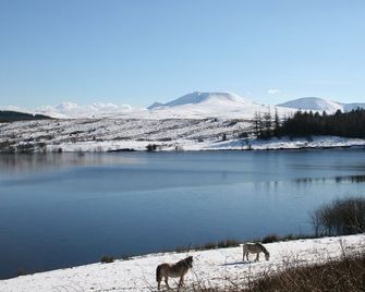Bronfelin & Troed-Y-Rhiw Holiday Cottages - Llanwrtyd Wells - Вигляд зовні