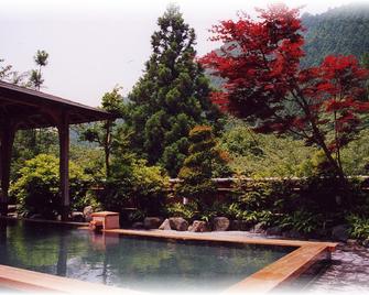 Kurama Onsen - Kyoto - Pool