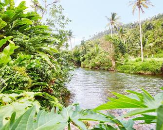 Cozy and Rustic bungalow next to river! Close to interesting sites. - Marigot