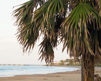 Guest House Aoshima Tei - Vacation Stay 42002v - Miyazaki - Beach