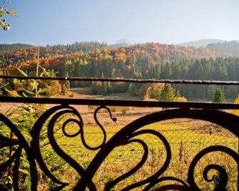 Willa Bachledówka - Zakopane - Balcony