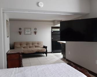 Upscale studio apartment newly remodeled - Emporia - Bedroom