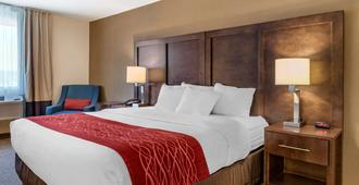 Comfort Inn Williamsport - Williamsport - Bedroom