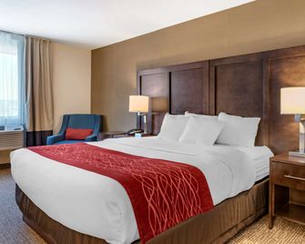 Comfort Inn Williamsport - Williamsport - Bedroom