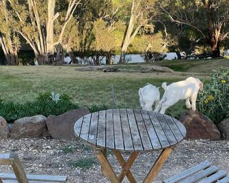 River Gardens Axedale Pet Friendly B&B Farm Stay - Self Contained Unit - Axedale - Restaurante