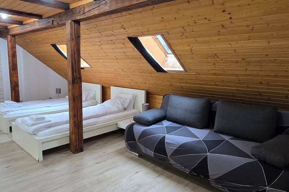 Cozy studio with Roof Terrace for 3 - ציריך