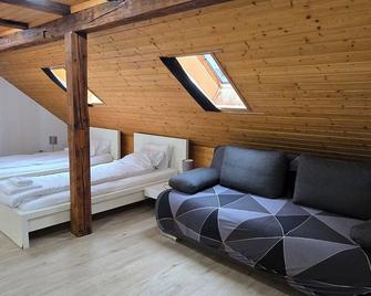 Cozy studio with Roof Terrace for 3 - Zúrich