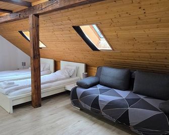 Cozy studio with Roof Terrace for 3 - ציריך