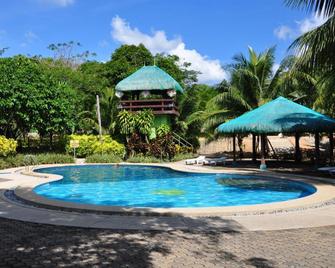 Busuanga Island Paradise Hotel - קורון - בריכה
