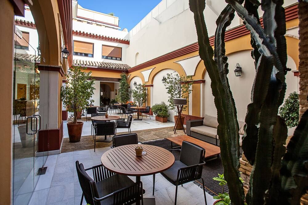 هوتل باراميدا