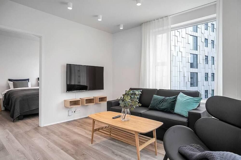 Sif Apartments Central Reykjavik - 1 Bedroom - ريكيافيك - غرفة معيشة