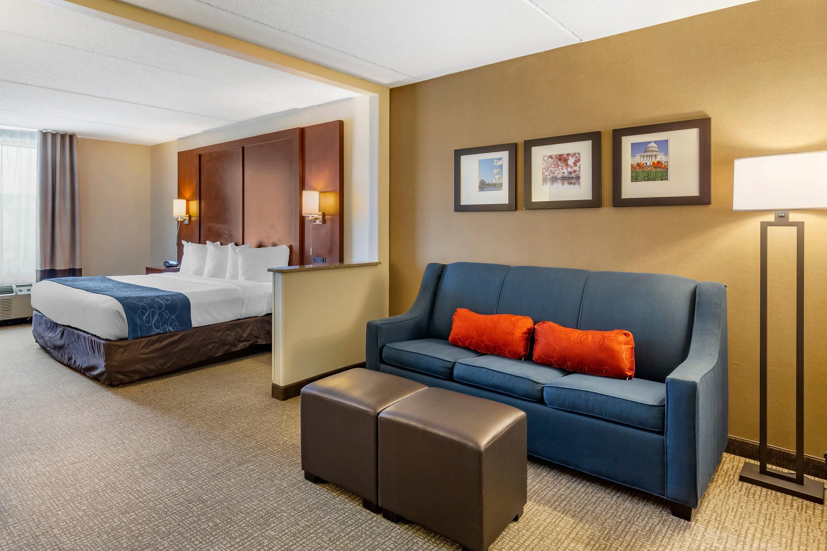 Comfort Suites Manassas Battlefield Park - Manassas - Makuuhuone