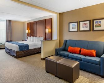 Comfort Suites Manassas Battlefield Park - Manassas - Makuuhuone