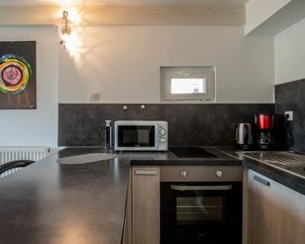 Litchi lovely loft with AC rue du Paquier - Annecy - Cozinha