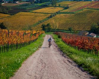 Club del Sole Riccione Easy Camping Village - Riccione