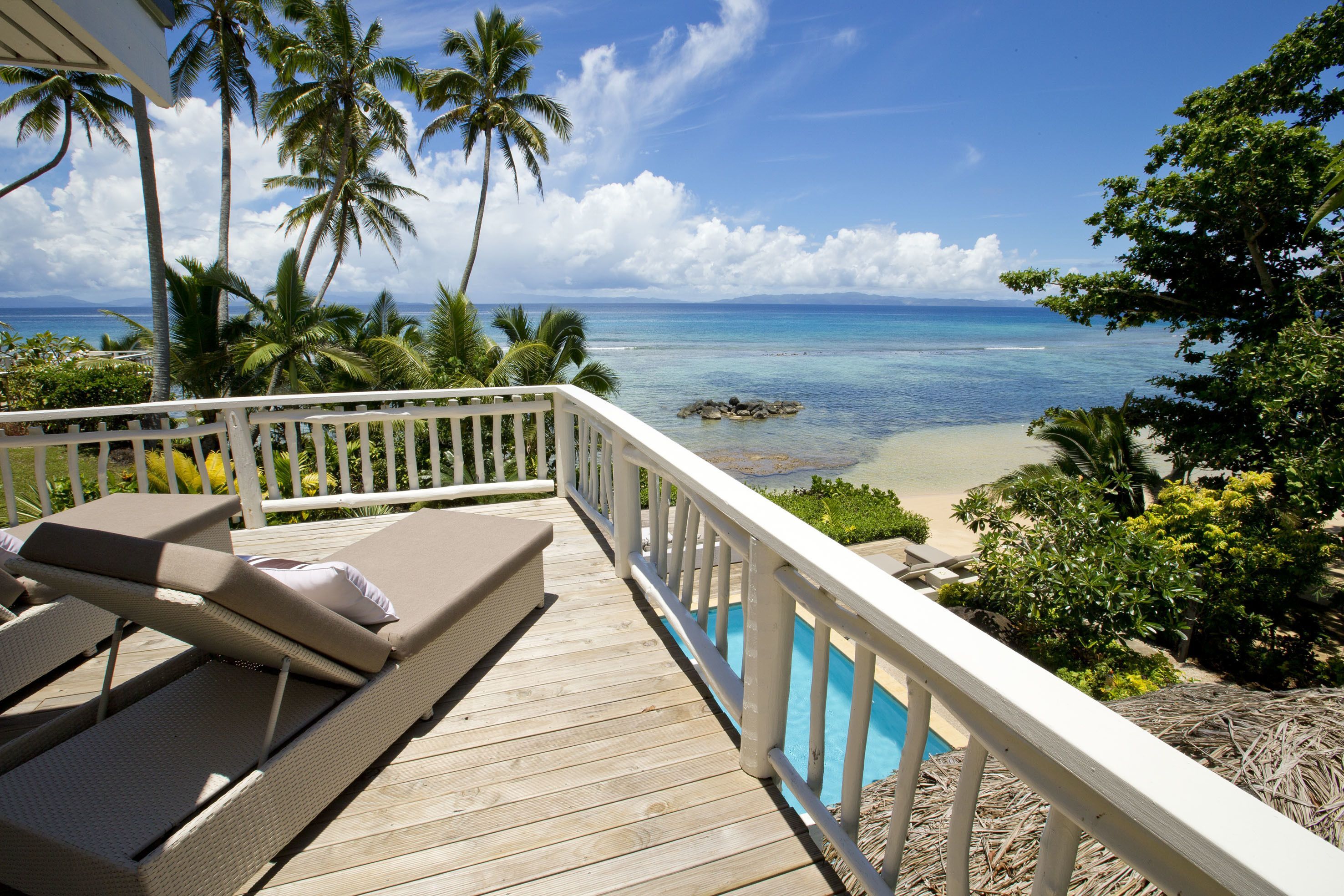 تافيوني بالمز